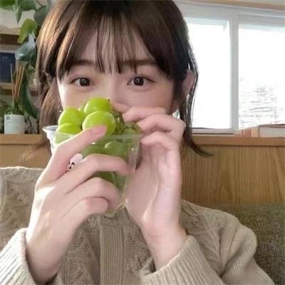 动画时光